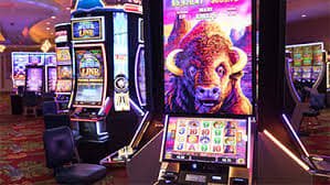 luckybet